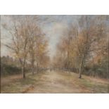 Framed, indistinctly signed, oil on canvas, 20th Century autumnal park landscape, with two figures