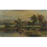 F. ALLEN (fl. 1890 - 1910) Framed, signed, oil on canvas, English School, landscape with cows