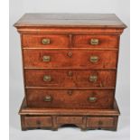 A 19th century oak chest of two short over three long drawers, each having patterned brass handles