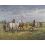 Framed, indistinctly signed, 20th Century oil on canvas, family of horses grazing in open field,