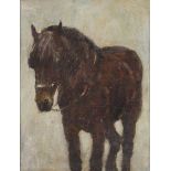 HILDA ? Framed, indistinctly signed, 20th Century oil on board, study of a dark horse, 40cm x 30cm.