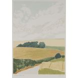 BARBARA NEWCOMBE. Framed, signed, numbered '2/150' and titled, 'Autumn Fields' in pencil to