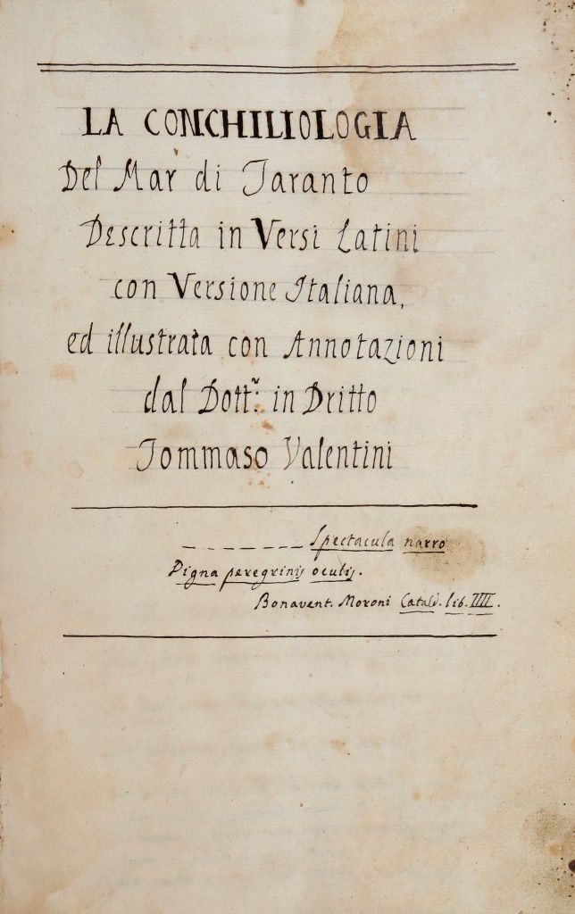 Valentini Tommaso. La conchiliologia del Mar di Taranto descritta in versi latini con versione - Image 4 of 6