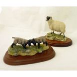 A Border Fine Arts Figure of a black faced ram, and a Border Fine Arts Group of two lambs.