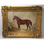 Style of COLIN GRAEME ROE; a light Bay Horse in a stable, Oil on Canvas, 14 1/2" (37cms) x 19 1/