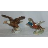 A Beswick Model of a Pheasant no. 849, and another of a Bald Eagle no. 1018 (repaired).