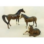 A Beswick Model of a brown Arab Horse, a brown thoroughbred Stallion and a brown Foal lying down.