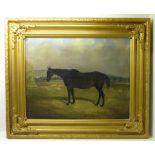 J TRUMAN; Dark Bay Horse with sheep in a field, Oil on Canvas, signed and inscribed "Malton,