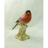 A Royal Worcester Model of a Bullfinch no. 2652.