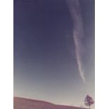 Franco Fontana  1933 Paesaggio  1973