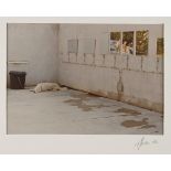 Luigi Ghirri  1943-1992 Ile Rousse  1976