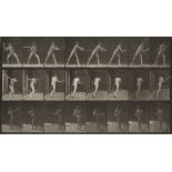 Eadweard Muybridge  1830-1904 Baseball, Animal Locomotion Plate 277  1887