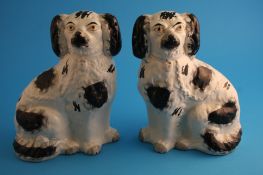 A pair of Staffordshire black and white spaniels.24.5 cm high