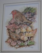 J ShipmanWatercolourSigned and dated"Robin amongst the leaves"22.5 cm x 17 cm