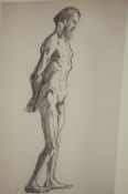 Ludovic Rodo Pissarro1878-1952PencilMonogrammed'Male Nude Study'30 cm x 17.5 cm