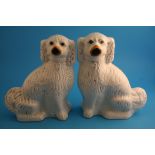 A pair of Victorian Staffordshire seated spaniels with padlock collars.34 cm high