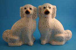 A pair of Victorian Staffordshire seated spaniels with padlock collars.34 cm high
