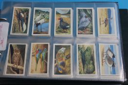 Three albums of tea/cigarette cards to include wild flowers, wild animals, aeroplanes, military