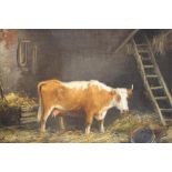 Manner of Dixon Clark Oil on canvas Unsigned 'Cow feeding in a Byre' 27 cm x 34 cm