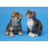 Two small pottery 'Winstanley' cats, each approximately 15 cm high