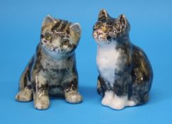 Two small pottery 'Winstanley' cats, each approximately 15 cm high