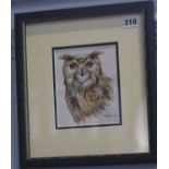 Beatrice Coventry  Watercolour  Signed  "Little Owl"  15 cm x 12 cm