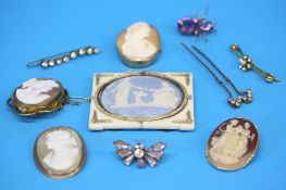 Four yellow metal hair clips, an amethyst coloured beetle brooch, four various cameos and a Wedgwood