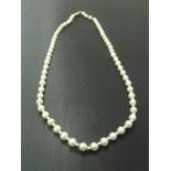 Single string of pearls with 9ct gold clasp and beads. 16inches long