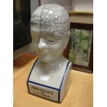 A large porcelain phrenology head