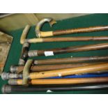 A collection of nine walking canes to in