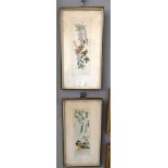 A pair of hand-signed coloured etchings of onithological subjects in the Oriental manner
