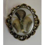 A cased Victorian double-sided brooch in scrollwork setting,