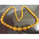 Barrel bead Amber necklace on 9ct clasp