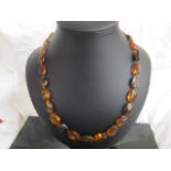 An amber flat dead necklace