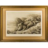 A gilt framed print of lions, signed in pencil Fred Thomas Smith, image size 50cm x 76cm