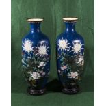 A pair of cloisonne vases blue ground with floral design on wood stands (vases 37cm tall)