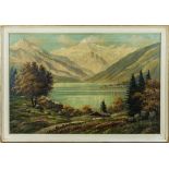 A framed oil on canvas depicting a German lake and Alpine scene, signed. image size 60cm x 90cm