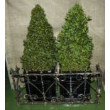 A pair of small conifers in pots and an iron surround.