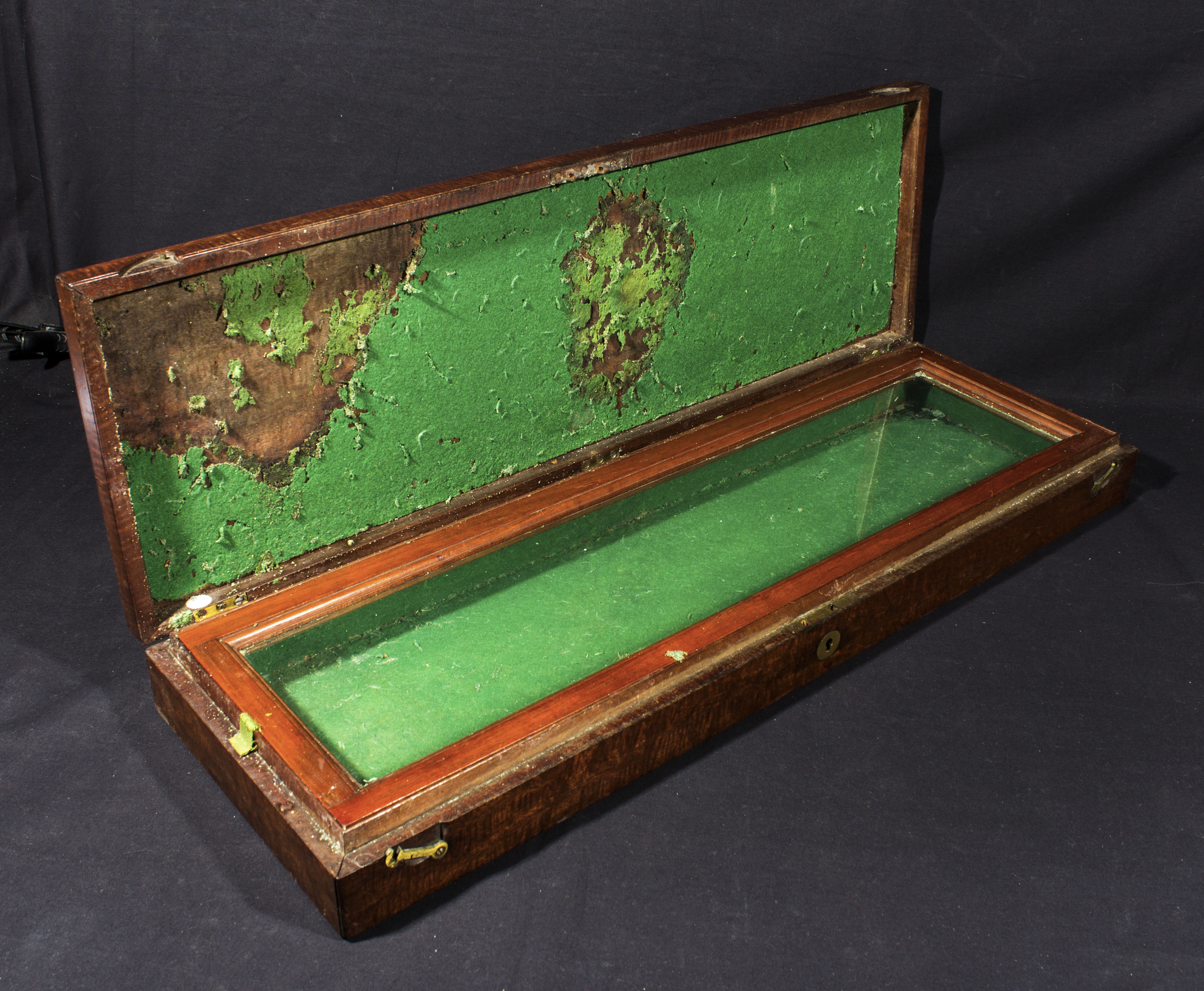 a Victorian mahogany gun case - Image 2 of 2
