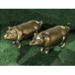 A brass pig vesta case and one other