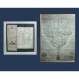 A large framed family tree for The Earl of Buchanan Family and a related map