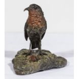 A cold painted bronze robin