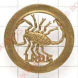 Long Range Desert Group scarce WW2 cap badge.A good brass example. Within a brass circlet, a