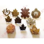 10 Canadian WW1 CEF cap badges. 8 ... 12 (replaced loops) ... 13 ... 17 ... 28 ... 29 (polished) ...