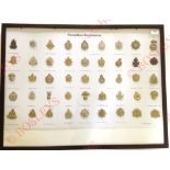 45 Canadian cap badges, mainly Infantry. A good selection, including both King’s Crown and Queen’s
