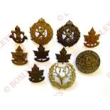 10 Canadian WW1 CEF cap badges. 41 ... 43 (brass) ... 43 (bronze) ... 44 ... 45 ... 51 ... 60 ... 67