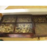 Two glazed Regency mahogany display cases containing a collection of period mounted insects,