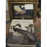 Audubon's Birds of America, the National Audubon Society Baby Elephant folio edition, revised, Roger