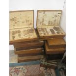 A collection of sixteen wooden collectors display cases, some containing part of a collection of