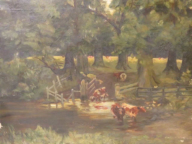 E France (1908) - Cattle drinking in a river with trees and fence by the bank with cattle in a field